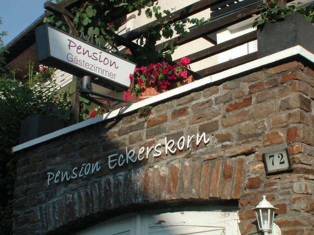 Haus Uebernachtenswert Cochem Mosel Εξωτερικό φωτογραφία